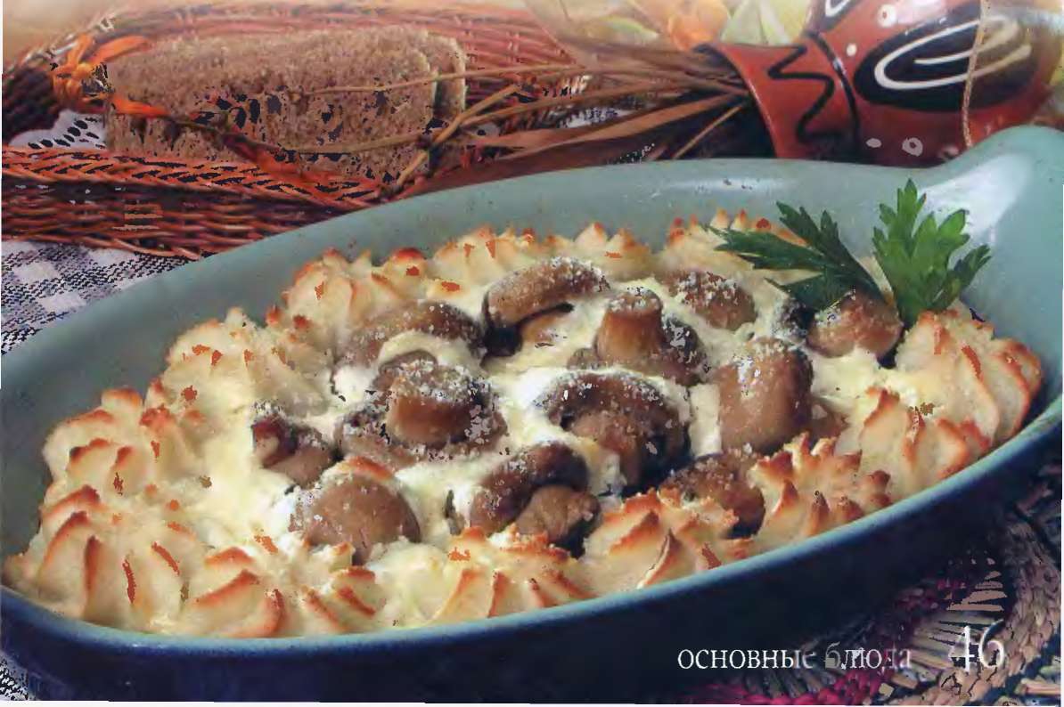 Блюда из курицы с белыми грибами рецепты Блюда из курицы с белыми грибами рецепты